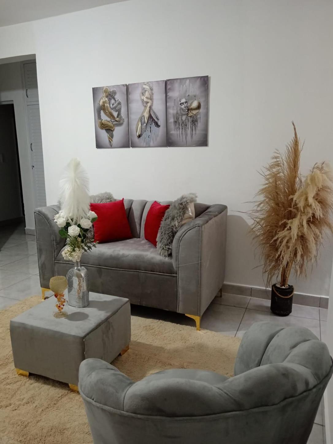 Apartamentos De 1 2 Y 3 Habitaciones Santiago De Los Caballeros Extérieur photo