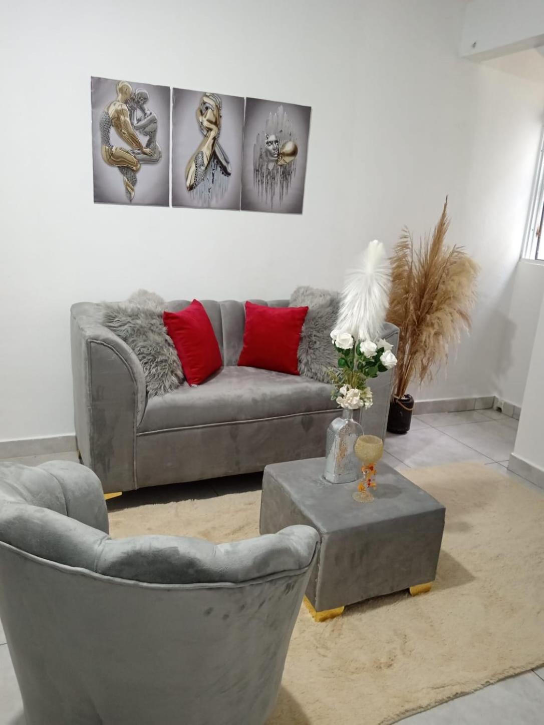 Apartamentos De 1 2 Y 3 Habitaciones Santiago De Los Caballeros Extérieur photo